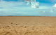 Toorale National Park - thumb 0