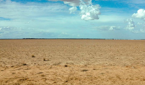 Toorale National Park - Accommodation Newcastle 0