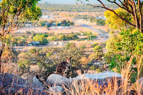 Towers Hill Lookout And Amphitheatre - Accommodation Newcastle 2