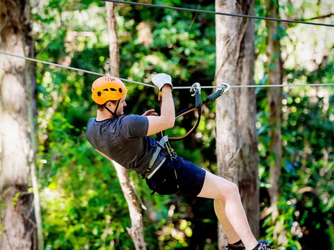TreeTop Challenge Currumbin Wildlife Sanctuary - Accommodation Newcastle 0