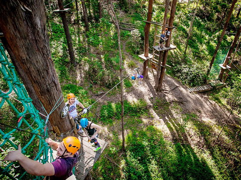TreeTop Challenge Currumbin Wildlife Sanctuary - Accommodation Newcastle 2