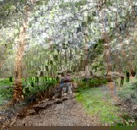 Venman Bushland National Park - Accommodation Newcastle