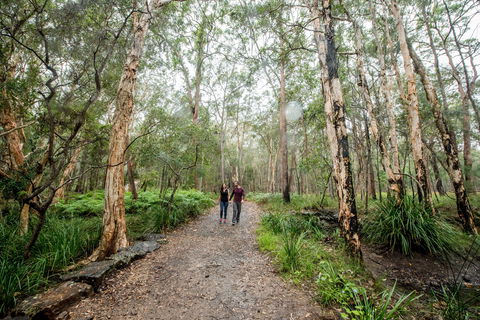 Venman Bushland National Park - Accommodation Newcastle 0