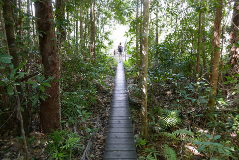 Walker Creek - Accommodation Newcastle 0