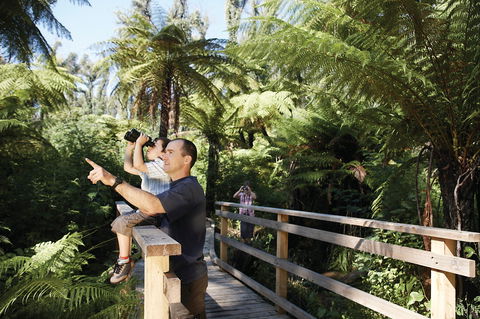 Yarra Ranges National Park - Accommodation Newcastle 1