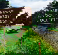 Yarraman - Accommodation Newcastle