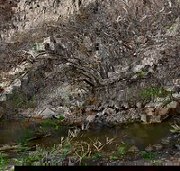 Brisbane Ranges National Park - Accommodation Newcastle