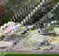 Maroochy Regional Bushland Botanic Garden - Accommodation Newcastle