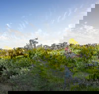 Mclaren Vale - Accommodation Newcastle