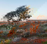 Merton Motor Trail - Accommodation Newcastle