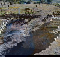 Wangaraleednie Monument  Ruins - Accommodation Newcastle
