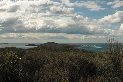 Big Rocky! Full Day Guided Walk - Accommodation Newcastle 3