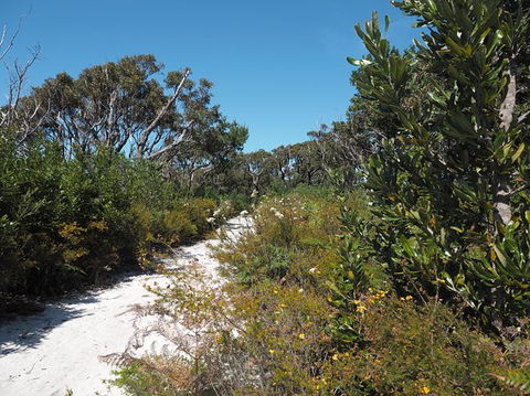 Big Rocky! Full Day Guided Walk - Accommodation Newcastle 8