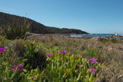 Big Rocky! Full Day Guided Walk - Accommodation Newcastle 0