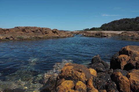 Big Rocky! Full Day Guided Walk - Accommodation Newcastle 2