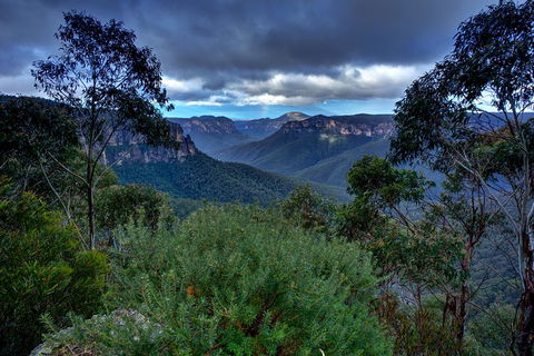 Ultimate Blue Mountains And Wildlife Tour - Accommodation Newcastle 6
