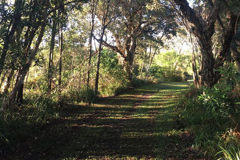 Coffs Harbour To Sawtell Bike Ride - Accommodation Newcastle 7