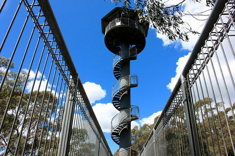 Illawarra Fly Treetop Adventures Admission Including Zipline Tour - Accommodation Newcastle 3