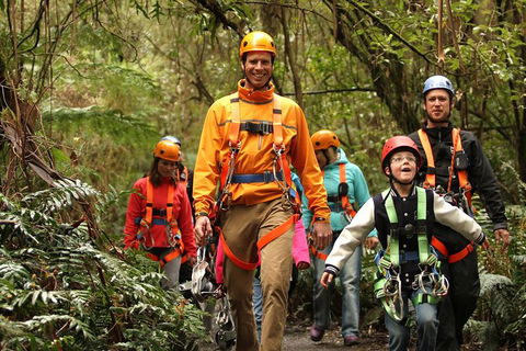 Illawarra Fly Treetop Adventures Admission Including Zipline Tour - Accommodation Newcastle 1
