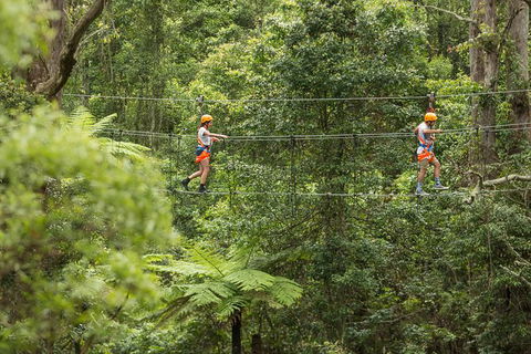 Illawarra Fly Treetop Adventures Admission Including Zipline Tour - Accommodation Newcastle 0
