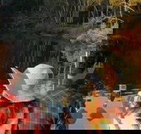 Sunset Eco Rainforest River Cruise - Accommodation Newcastle