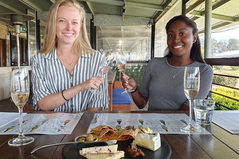 Hunter Valley Exclusive Kangaroo And Wine Tasting Experience - Accommodation Newcastle 7