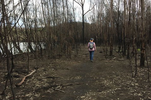 Fishermans Paradise Eco-walk - Accommodation Newcastle 5