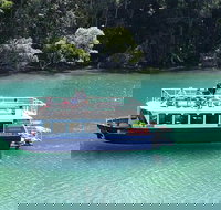 Byron Bay Rainforest Eco-Cruise - Accommodation Newcastle