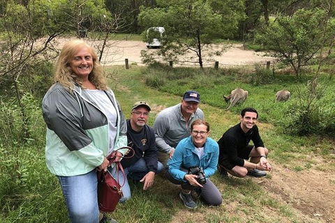 Full-Day Guided Tour Of Blue Mountains With Pick Up - Accommodation Newcastle 2