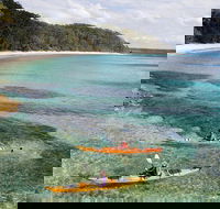 Half-Day Jervis Bay Sea Kayak Tour - Accommodation Newcastle