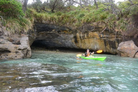 Half-Day Jervis Bay Sea Kayak Tour - Accommodation Newcastle 8