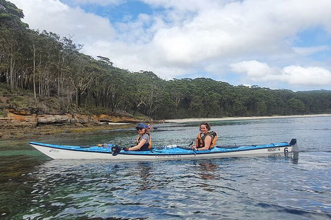 Half-Day Jervis Bay Sea Kayak Tour - Accommodation Newcastle 6