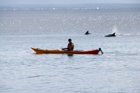 Half-Day Jervis Bay Sea Kayak Tour - Accommodation Newcastle 4