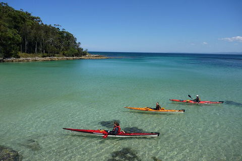 Half-Day Jervis Bay Sea Kayak Tour - Accommodation Newcastle 3