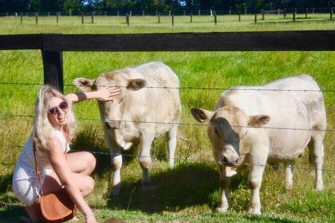 Hipster Sipster Brewery & Distillery Tour - Northern NSW - Accommodation Newcastle 8