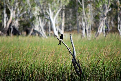 ETHICAL ADVENTURES - Dry Season Litchfield Region, Max 10 Guests - Accommodation Newcastle 2