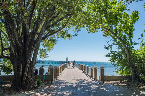 Green Island Day Trip From Cairns - Accommodation Newcastle 4