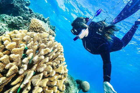 Green Island Day Trip From Cairns - Accommodation Newcastle 5