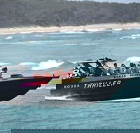 Noosa Thriller - 500hp Ocean Adventure Ride - Accommodation Newcastle