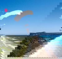 Skydive over Sunshine Coast with Beach Landing - Accommodation Newcastle