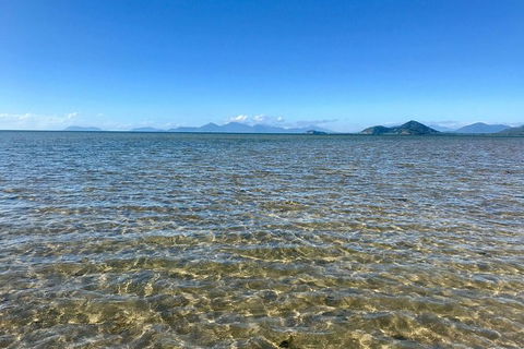Exclusive Double Island Boat Tours From Palm Cove - Accommodation Newcastle 12