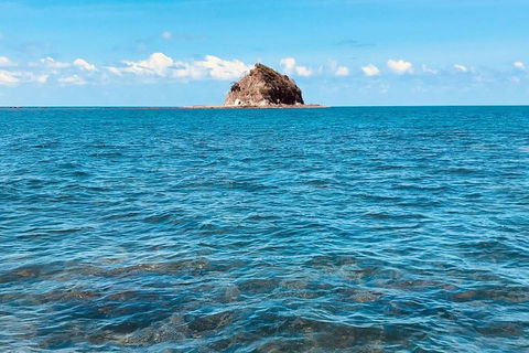 Exclusive Double Island Boat Tours From Palm Cove - Accommodation Newcastle 10