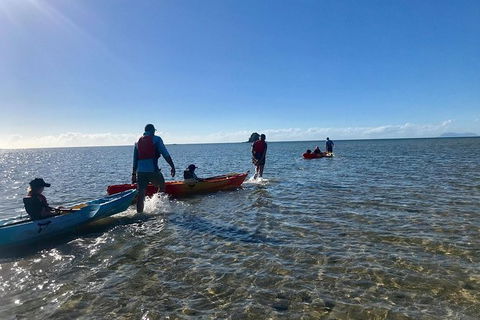 Exclusive Double Island Boat Tours From Palm Cove - Accommodation Newcastle 3