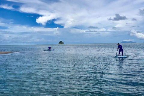 Exclusive Double Island Boat Tours From Palm Cove - Accommodation Newcastle 5