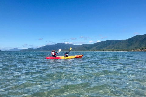Exclusive Double Island Boat Tours From Palm Cove - Accommodation Newcastle 15