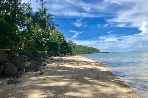 Exclusive Double Island Boat Tours From Palm Cove - Accommodation Newcastle 4