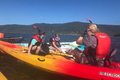 Exclusive Double Island Boat Tours From Palm Cove - Accommodation Newcastle 14