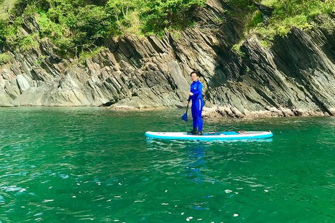 Exclusive Double Island Boat Tours From Palm Cove - Accommodation Newcastle 8