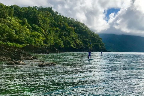 Exclusive Double Island Boat Tours From Palm Cove - Accommodation Newcastle 13