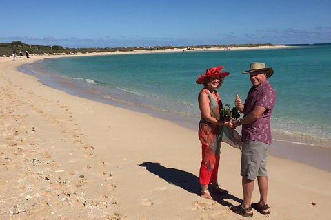 Elope In Paradise - Weddings At Mission Beach - Accommodation Newcastle 6